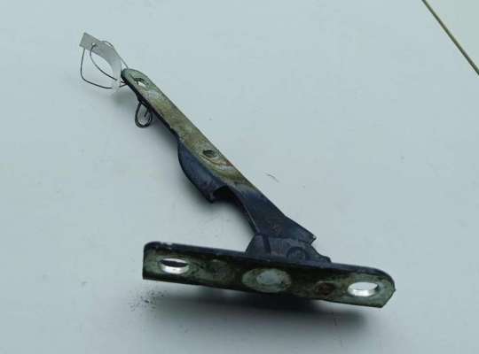 Петля капота правая RN1185983 на Dacia (Renault) Logan I (2004-2012)
