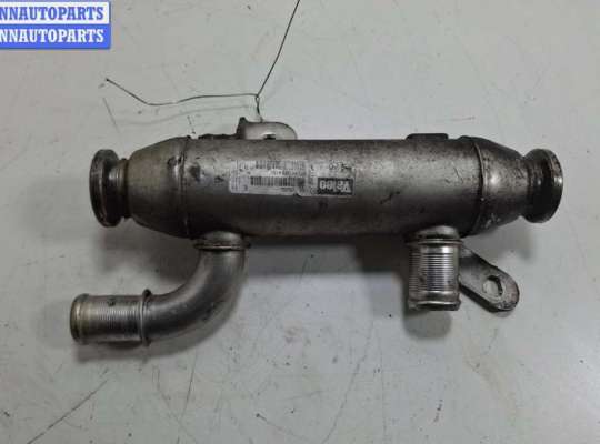 купить Охладитель отработанных газов на Citroen Berlingo (1996-2002)