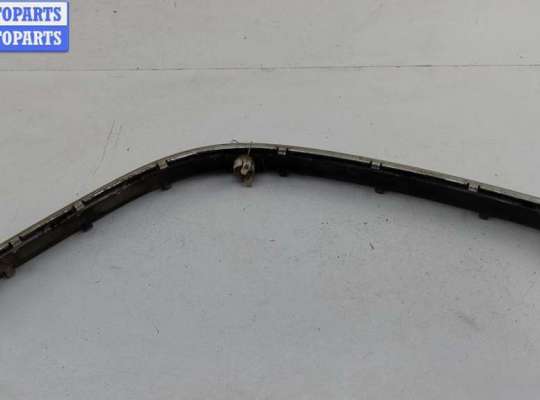 Молдинг на BMW 5 (E39)