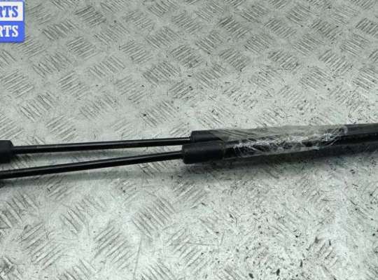 купить Амортизатор крышки (двери) багажника на Citroen C3 I (2002-2009)