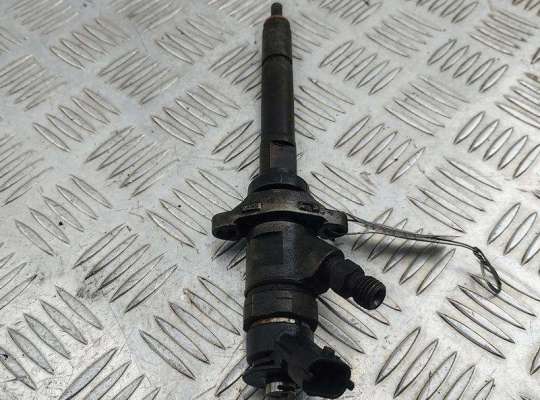 купить Форсунка топливная на Ford Focus II (2004-2011)