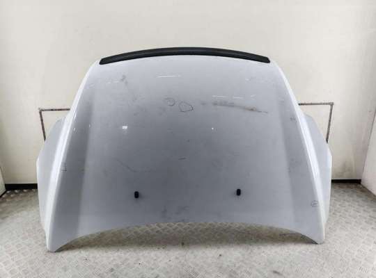 Капот FO2238674 на Ford Focus II (2004-2011)