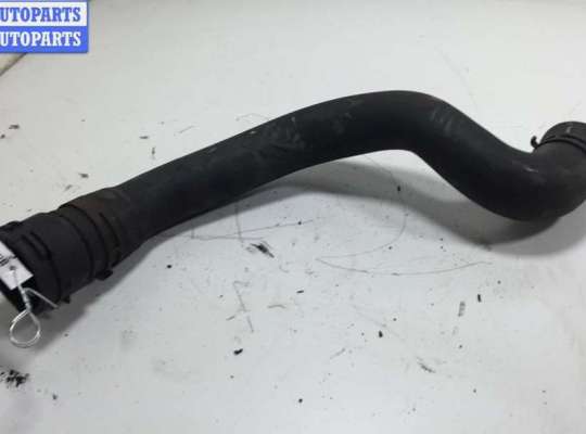 купить Патрубок радиатора на Volkswagen Passat B6