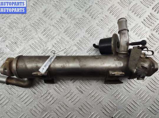 купить Охладитель отработанных газов на Volkswagen Passat B6