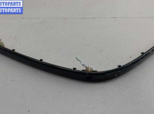 Молдинг на BMW 5 (E39)