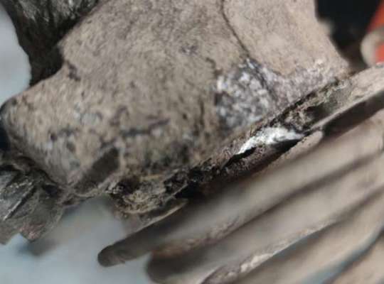 купить Суппорт задний левый на Audi A6 C5 (1997-2005)