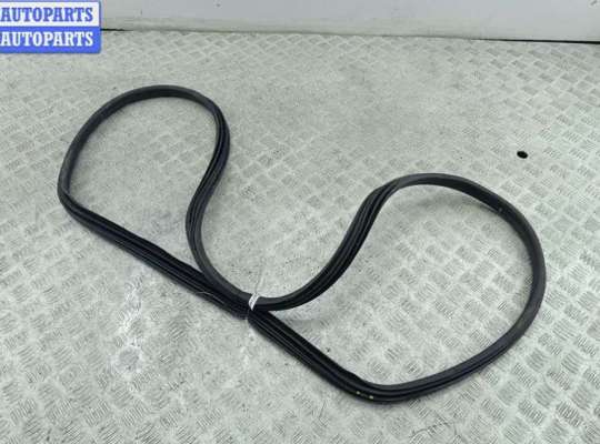 купить Уплотнитель двери задней левой на Peugeot 308 T7 (2007-2013)