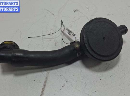 купить Маслоотделитель (сапун) на Renault Laguna II (2001-2007)