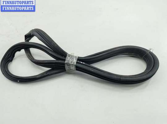 Уплотнитель двери задней левой RN1572225 на Renault Laguna I (1993-2000)