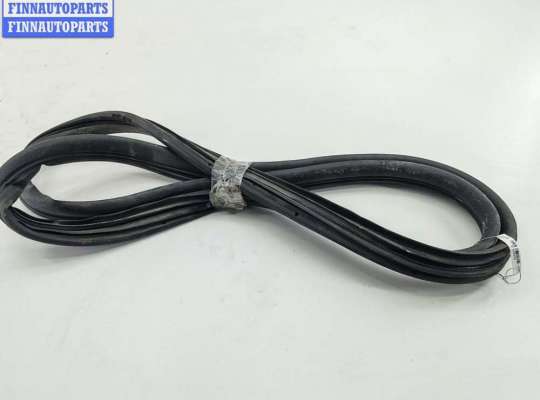 купить Уплотнитель двери задней левой на Renault Laguna I (1993-2000)