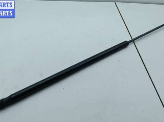 купить Амортизатор капота на Audi A6 C6 (2004-2011)