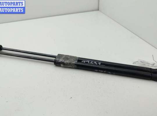 Амортизатор крышки (двери) багажника OP2376917 на Opel Signum (2003-2008)