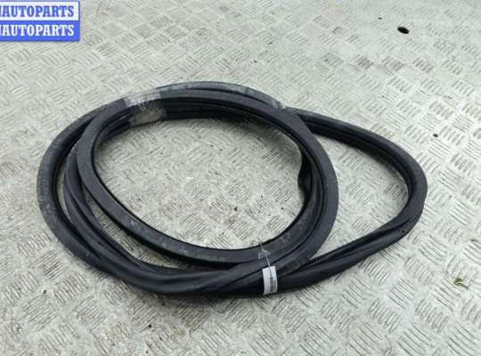 Уплотнитель двери на Volkswagen Jetta V (1K)