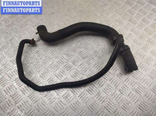 Патрубок радиатора RN1556749 на Renault Laguna II (2001-2007)