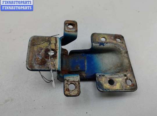 Петля двери задней левой FT556938 на Peugeot Boxer (2002-2006)