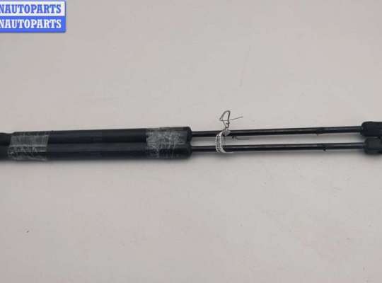 Амортизатор капота OP2416251 на Opel Vectra C (2002-2008)
