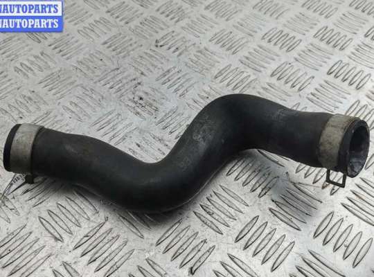 купить Патрубок радиатора на Nissan Primera P12 (2002-2008)