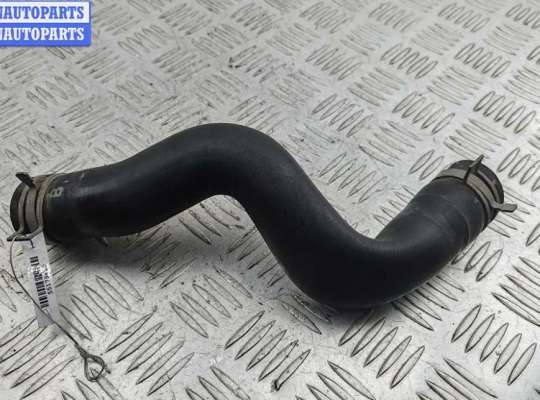 купить Патрубок радиатора на Nissan Primera P12 (2002-2008)