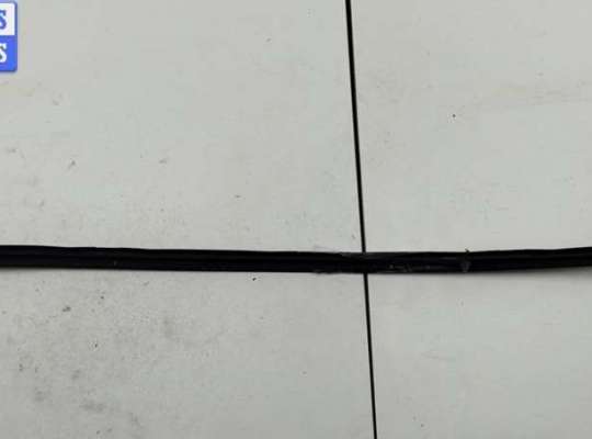 купить Молдинг лобового стекла на Volkswagen Passat B6