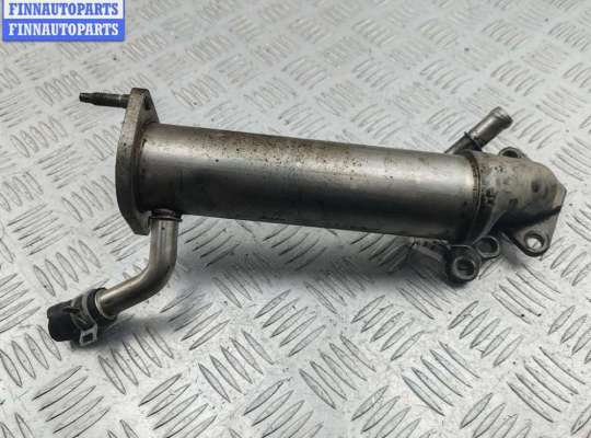 купить Охладитель отработанных газов на Ford Transit (2006-2014)