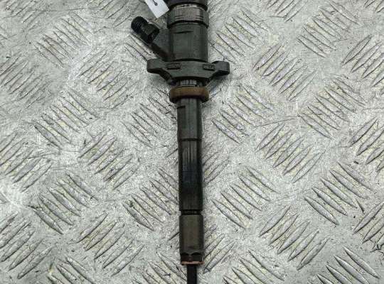 Форсунка топливная PG1236603 на Peugeot 307