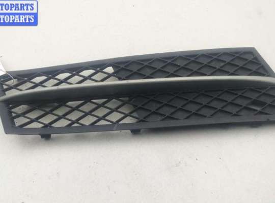 купить Решётка (заглушка) в бампер на BMW 5 F10/F11 (2009-2017)