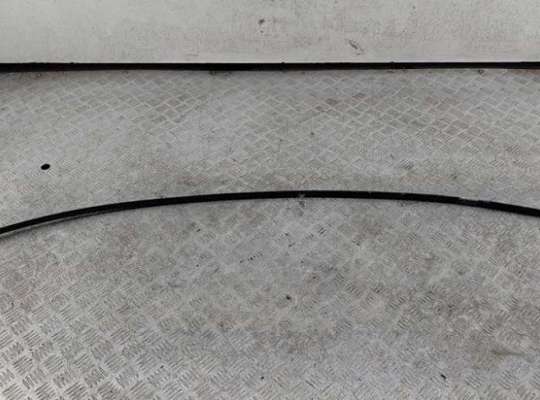 Молдинг крыши SK554355 на Skoda Roomster