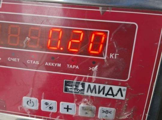 купить Крышка (заглушка) задняя фары правой на Ford C-Max (2003-2010)