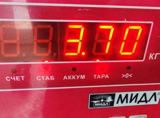 купить Стартер на Ford Focus II (2004-2011)