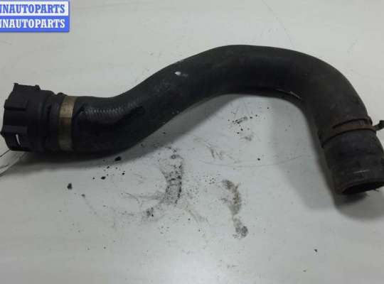 купить Патрубок радиатора на Audi A6 C6 (2004-2011)