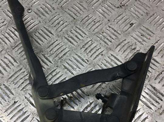 Петля капота правая BM850168 на BMW 5 E60/E61 (2003-2010)