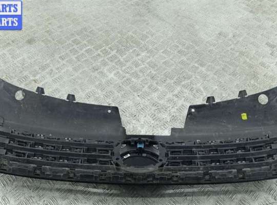 Решетка радиатора на Volkswagen Passat B7 (36)