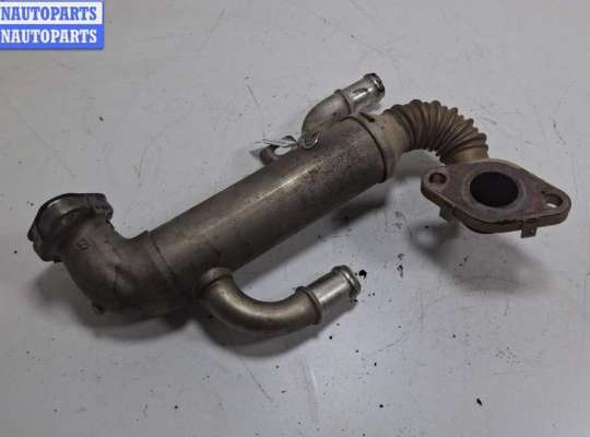 купить Охладитель отработанных газов на Skoda Roomster