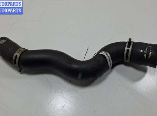 купить Патрубок радиатора на Peugeot 407