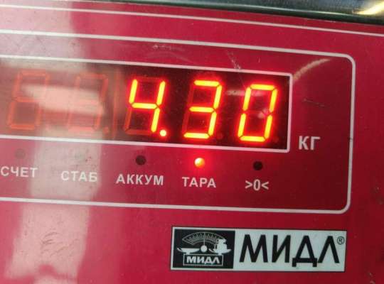 купить Стартер на Ford Focus II (2004-2011)