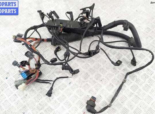 Проводка двигателя BM3253601 на BMW X5 E53 (1999-2006)
