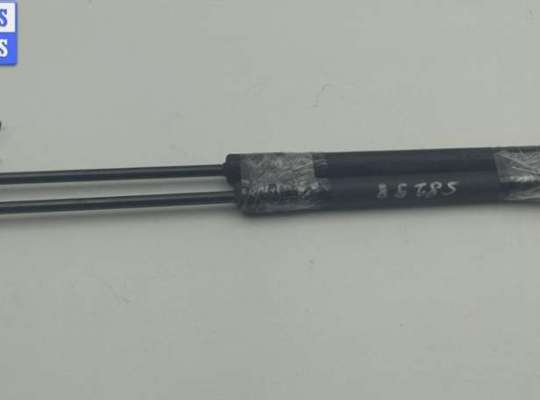 Амортизатор крышки (двери) багажника VG2756498 на Volkswagen Passat B6