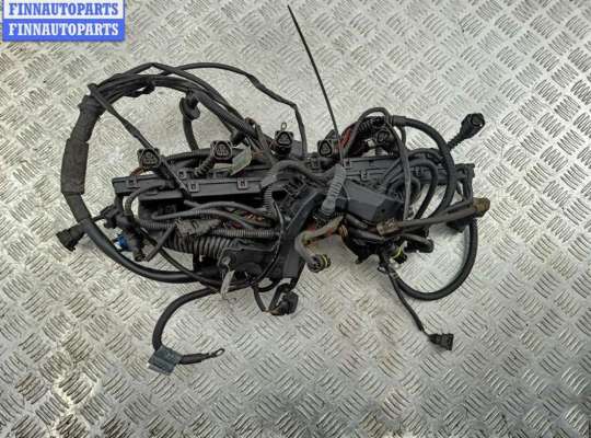 Проводка двигателя BM3600907 на BMW 3 E46 (1998-2006)