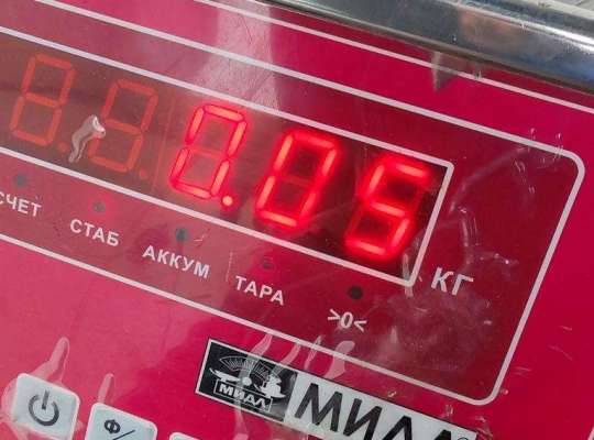 купить Корпус (держатель) ручки двери задней левой на Mazda 3 (2003-2008) BK