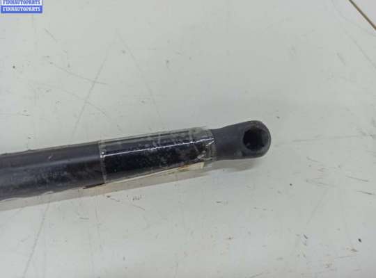 купить Амортизатор крышки (двери) багажника на Audi A6 C6 (2004-2011)