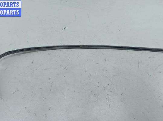 купить Молдинг двери задней левой на Volkswagen Passat B6