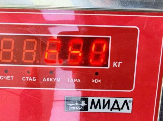 купить Крыло переднее левое на Ford Focus I (1998-2005)