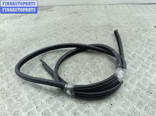 купить Уплотнитель двери передней левой на BMW 5 E60/E61 (2003-2010)