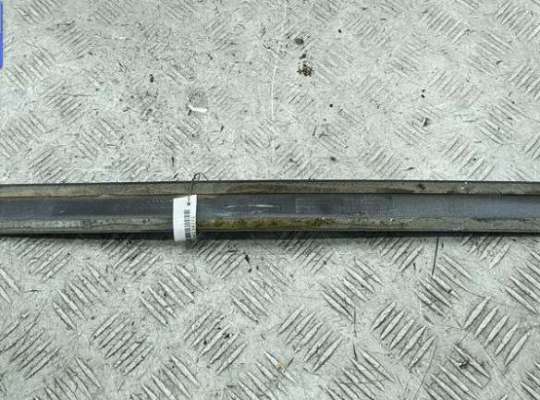 Молдинг на Ford C-Max I