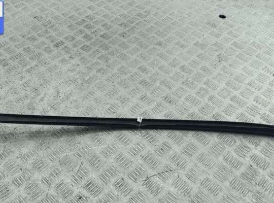 купить Молдинг лобового стекла на Ford Focus III (2011-2018)