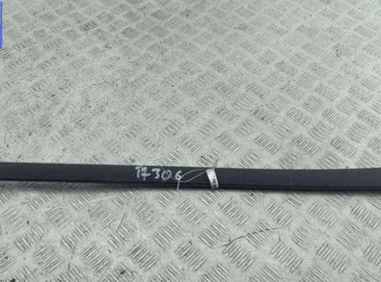 купить Молдинг лобового стекла на Ford Focus III (2011-2018)