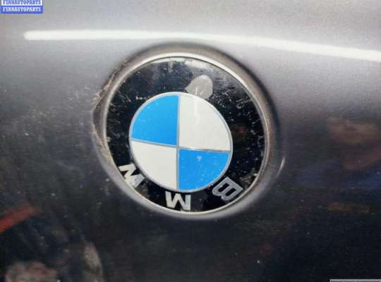 купить Капот на BMW X5 E53 (1999-2006)