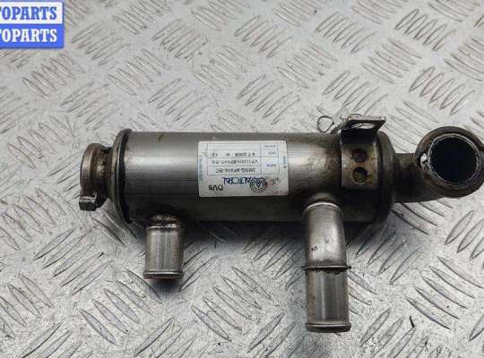 купить Охладитель отработанных газов на Ford Focus II (2004-2011)