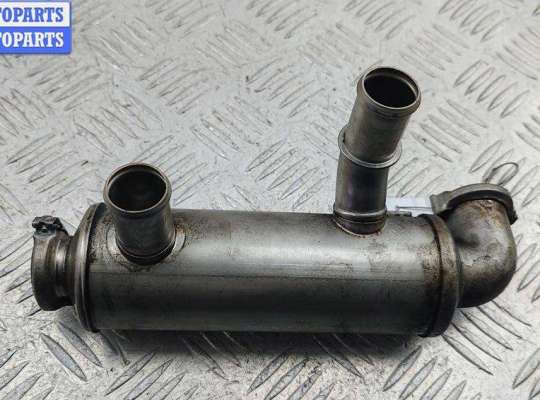 купить Охладитель отработанных газов на Ford Focus II (2004-2011)