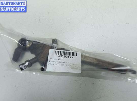 Форсунка топливная PG1161346 на Peugeot 407